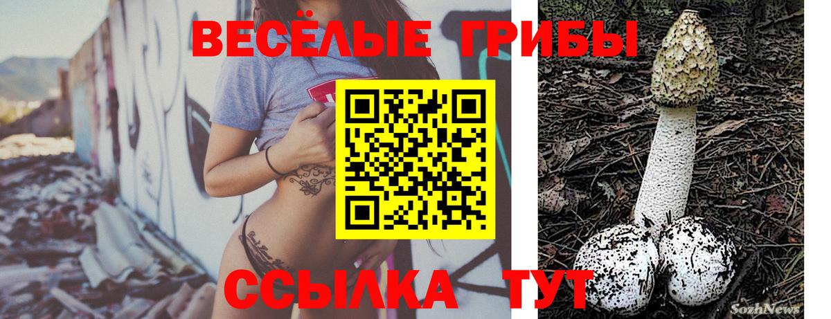 Псилоцибиновые грибы Psilocybine cubensis  Вход с VPN  Холмск  Галлюциногенные грибы ЛСД 